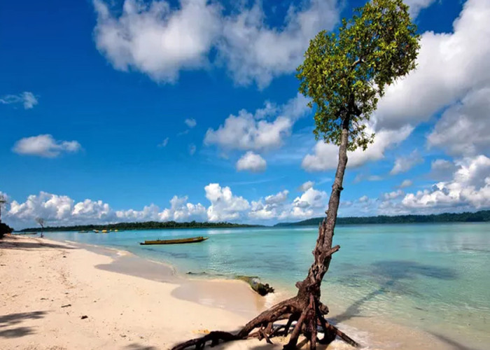 Andaman Honeymoon Package
